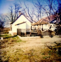 Csengõd eladó mezõgazdasági terület haszonállat, lovarda 8765m2 házzal ingatlan hirdetéshez feltöltött kép